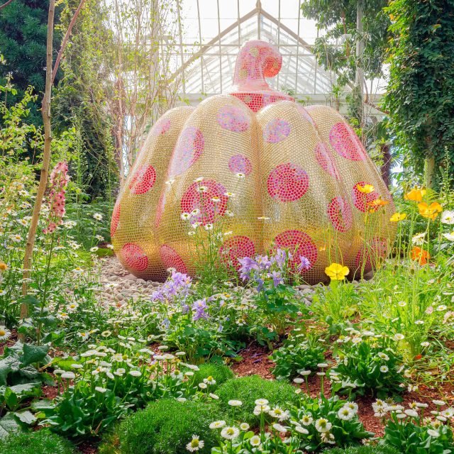 🌳 정산원 (조잔엔) 이미지 2